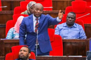 398885540_711820127649422_4059565537203640883_n