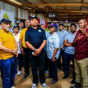 434150720_409460265163334_6690747964844900877_n