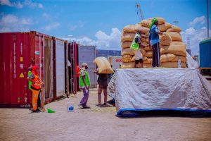 IMG-20241026-WA0345-768x512