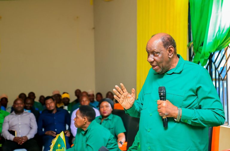 Wasira amshangaa mbunge aliyesema anamdai Rais Samia