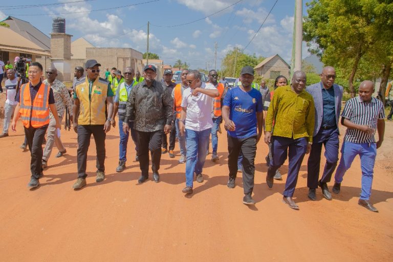 Mchengerwa ataka kukamilika kwa wakati ujenzi wa barabara za jimbo la Ukonga