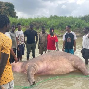 FB_IMG_1757501909692