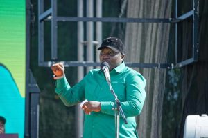 FB_IMG_1759250302570