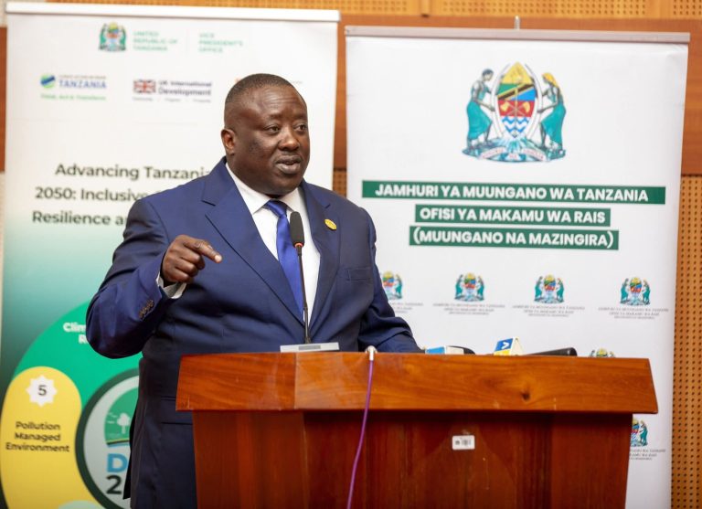 Tanzania kubeba sauti ya vipaumbele vya bara la Afrika