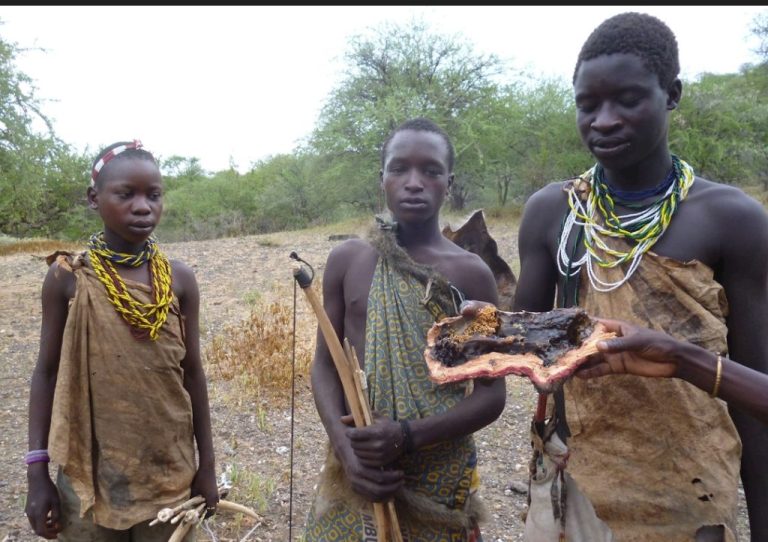 Screenshot_20251222-071637-1024x722