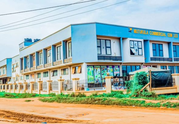 FB_IMG_1770039061005