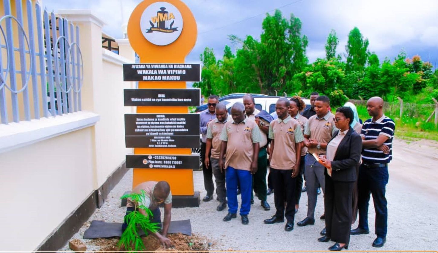 e7233d8d963543ffbfe1ee7cb12a414a~2