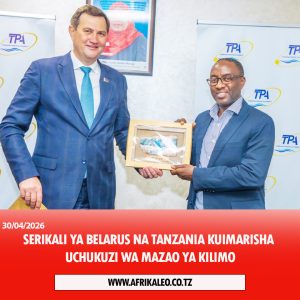 Iddy Mkwama Design copy